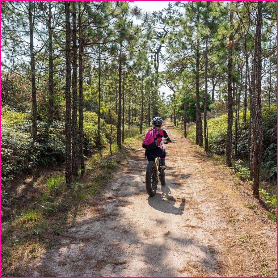 Mobilhome 2Ch Climatise-Terrasse Fermee-4 Velos-Camping 4 Etoiles Les Charmettes Les Mathes Exterior foto